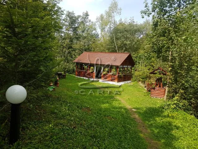 Camere de Închiriat IZISOARA