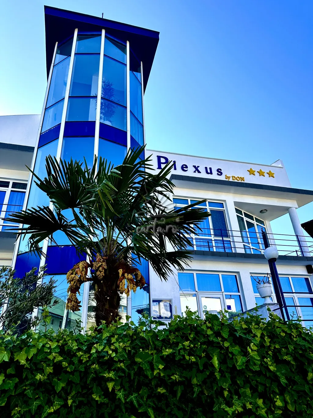 PLEXUS BOUTIQUE