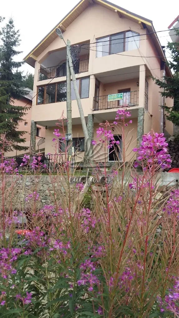 Casa de Vacanță OAZA LINIȘTII