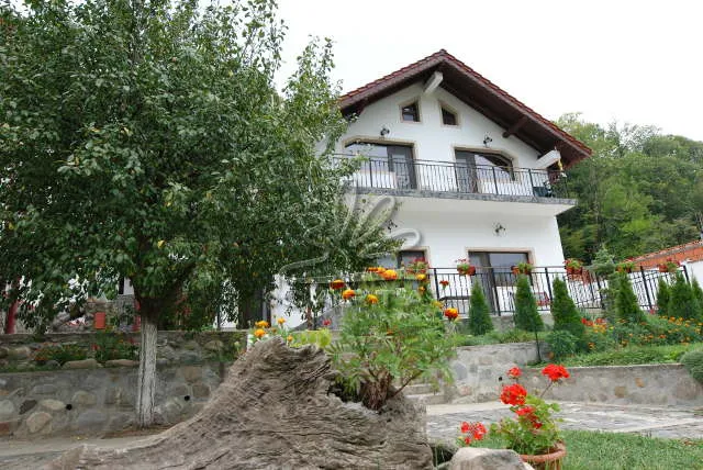 Pensiunea CASA NATURA