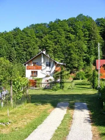 Casa de Vacanță CASUTA DIN PADURE - VISTISOARA