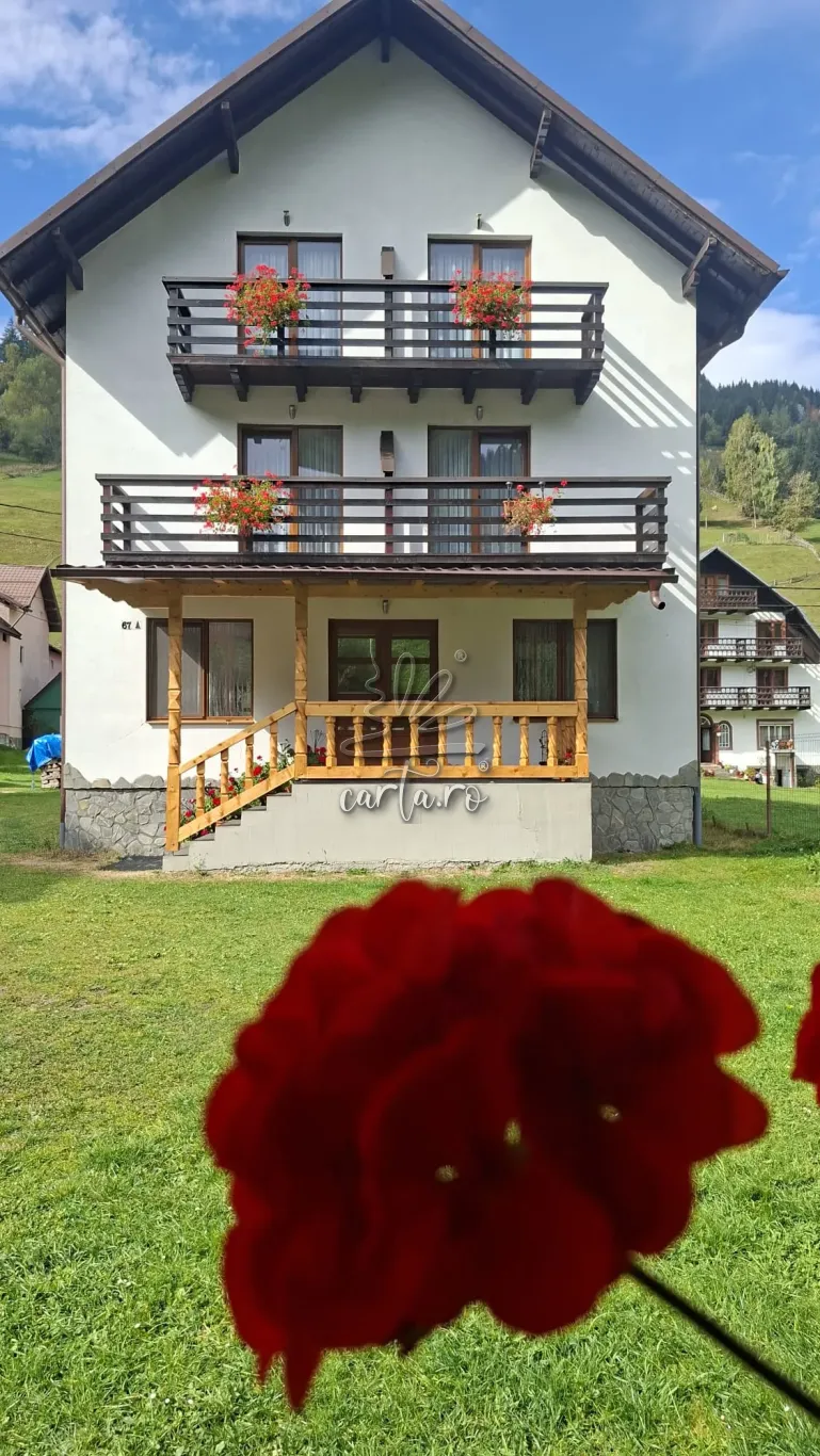 Casa VLADUT