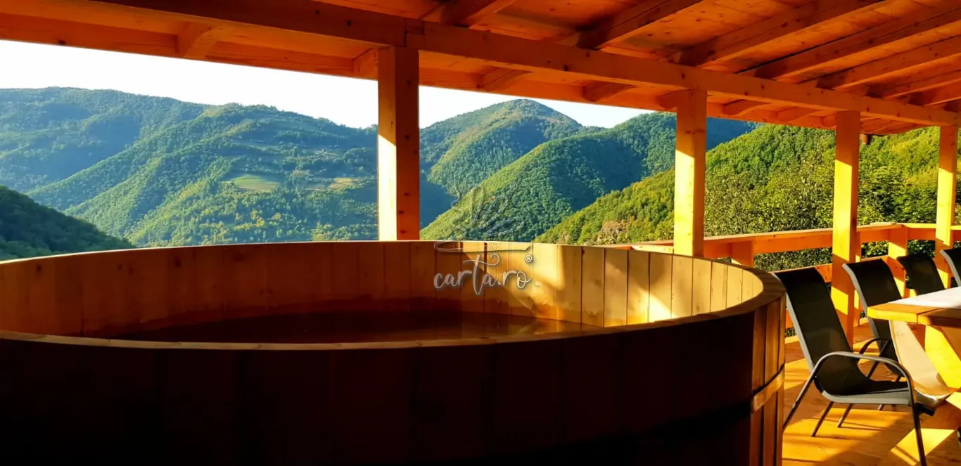 Cabana MUNTELE PALTINEI