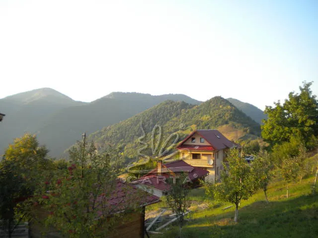 Cabana MUNTELE PALTINEI